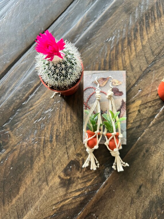 Terracotta Pot With Flowers Earrings