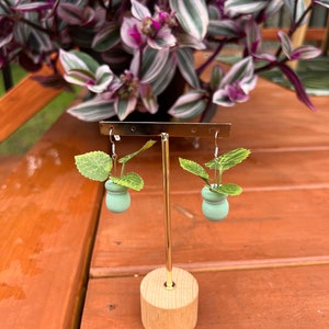 May include: A pair of green potted plant earrings with gold hooks hanging on a wooden stand. The earrings are made of polymer clay and feature small green leaves.