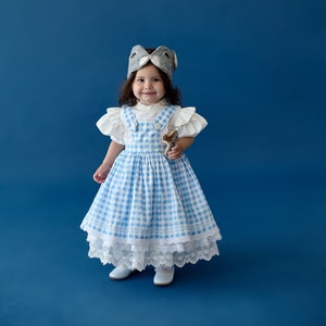 Dorothy Birthday dress for baby girl and toddler in Oz style, Wizard first and second Birthday party frock