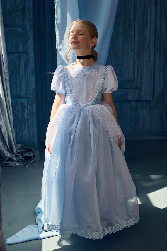 fairy tale dress for girl Elegant Baby Pink Party Dresses Toddler Princess Dresses For Girls main image 0