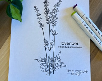 Lavender Historically Queer Flowers Coloring Page Digital Download Printable Personal Use Only
