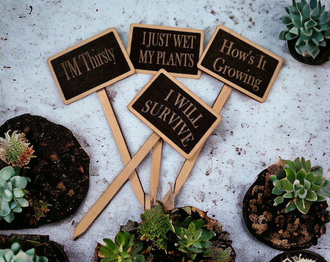 Plant Stakes (Set of 4) LAST SET of THESE