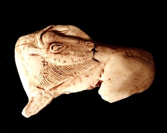 BISON se LÉCHANT 3D sur fragment de bois de renne -célèbre pièce du gisement de la Madeleine 24- Copie en résine acrylique  (MMDP 70)