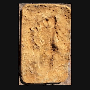 Impronta FOSSILE del PIEDE Grotta di Niaux - Calco dell&#39;impronta del piede sinistro con probabile supporto di 1 bastone. Avvicinandosi al bisonte di Tuc d’Audoubert.
