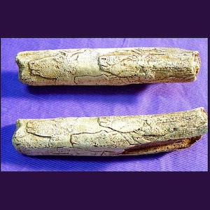 May include: Two beige, textured, log-shaped decorative pieces with carved details. The objects have a weathered appearance, with a mix of light and dark brown tones. The background is a solid purple color.