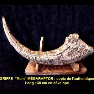 MEGARAPTOR dinosaur &#39;hand&#39; claw - Facsimile reproduction replica obtained by casting in acrylic resin on the authentic.