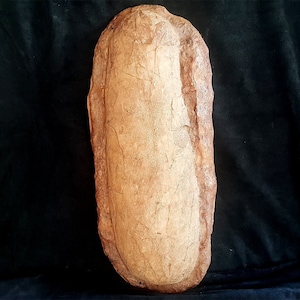 SINGLE-SIDED CASTING of a Tyranaosaurus-rex EGG - the longest egg that ever existed! Polyester resin plate L56/W24/D4cm