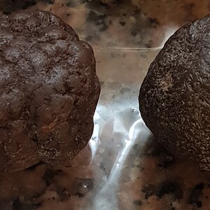 Puede incluir: Dos piedras redondas de color marr&oacute;n oscuro, de forma irregular. Las piedras tienen una superficie rugosa y texturizada.