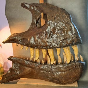 Peut inclure: Réplique détaillée d'un crâne de dinosaure, principalement marron avec une surface texturée. Il présente de nombreuses grandes dents jaunes. La mâchoire est ouverte, révélant les dents et l'intérieur du crâne. Thème préhistorique et éducatif.