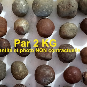 NODULES 2 KG of Pas de Calais marcasite 2 kg (in 3 or 4 nodules)