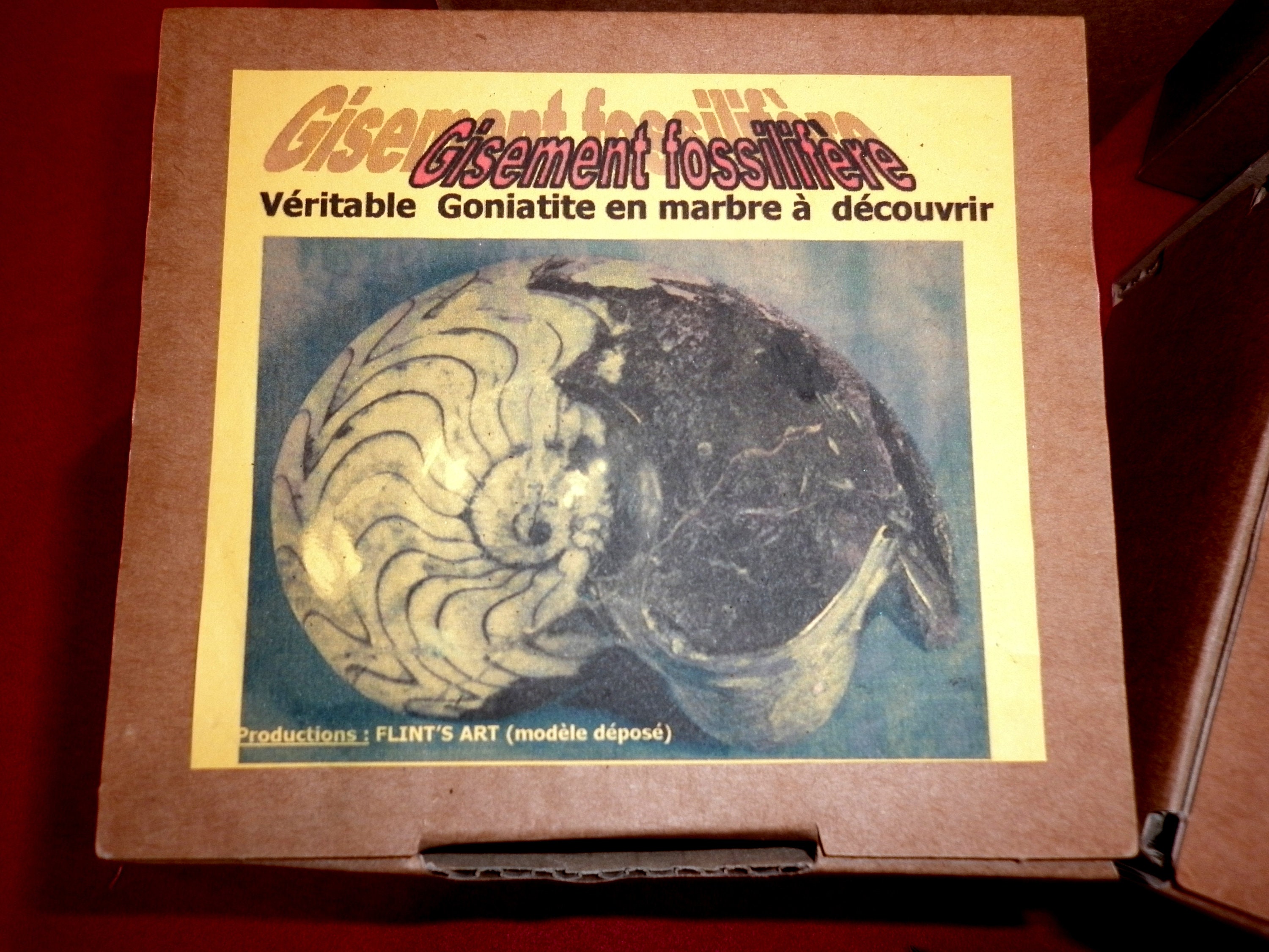 JAWSEU Kit de Fouille Archéologique, Kit de Fouille Fossile, Kit