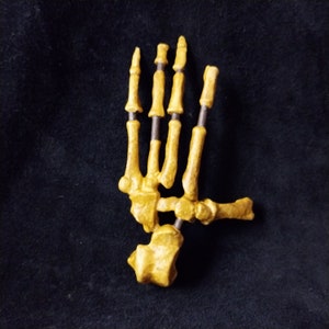 May include: A detailed anatomical model of a human hand skeleton, crafted in a yellow color. The bones are connected by small metal rods, creating a realistic representation of the hand's structure.