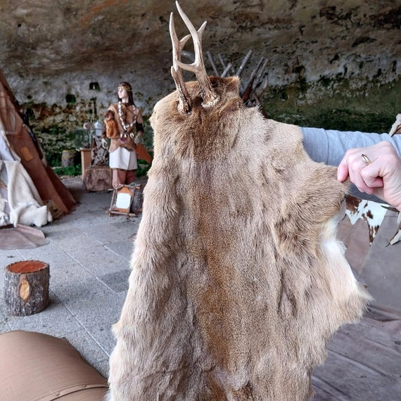 マドレーヌ時代の先史時代の衣装 - 持続可能な方法で飼育された種の 