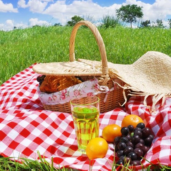 Panier PIQUE-NIQUE à réserver uniquement lors des locations au PALÉOLODGE