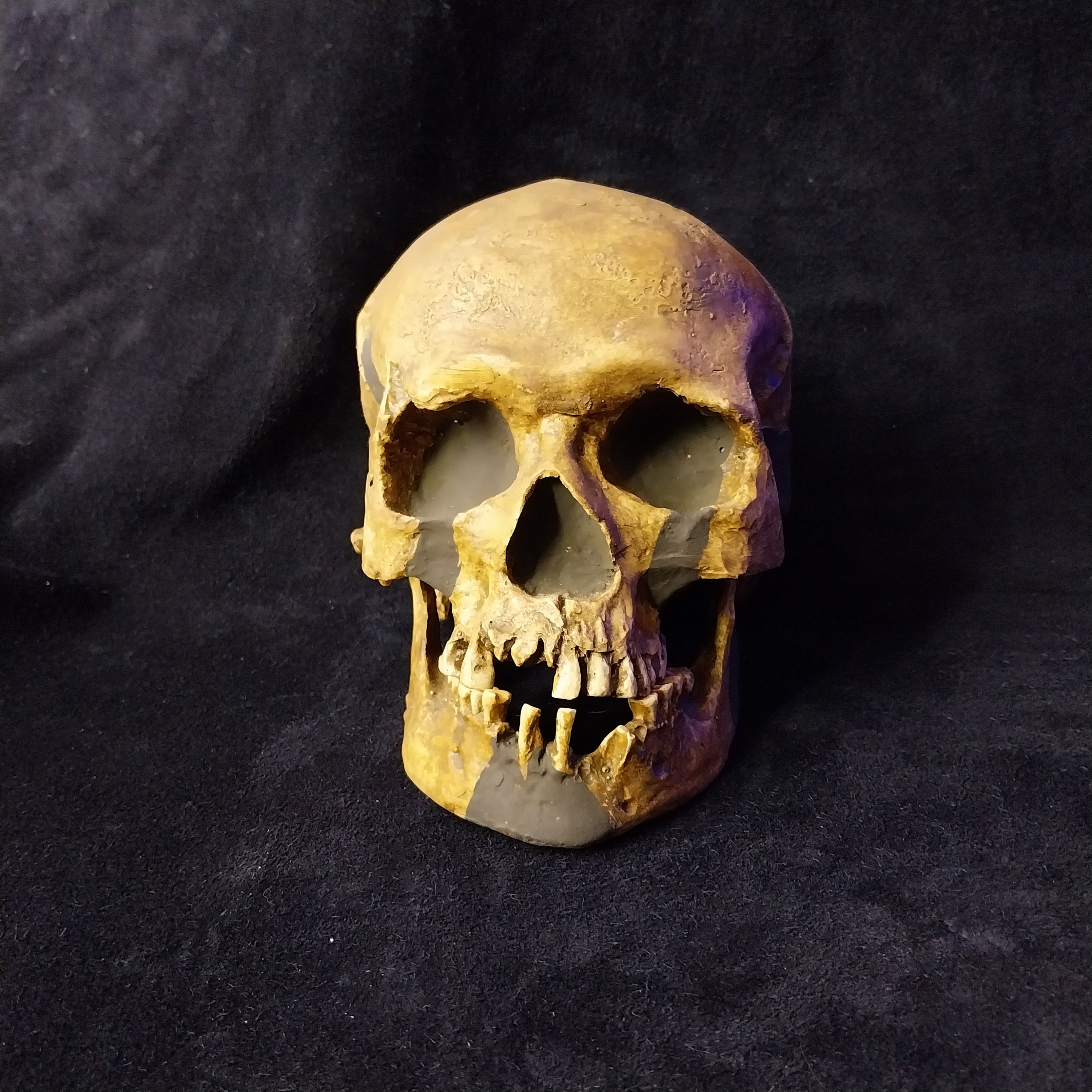 Skull + Mandible PREDMOSTI-4 HOMO Sapiens Adult FEMALE Cro-magnon