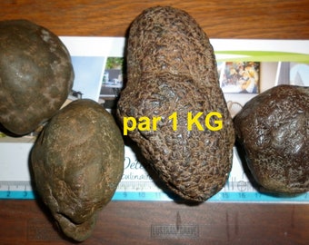BMMN-1kg Marcassite en Nodules livré 1 KG
