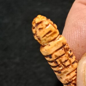 May include: Close-up of a carved, tan-colored bead with dark brown etched details. The bead has a cylindrical shape with a detailed design, possibly depicting a figure or face. The bead is held by a person.