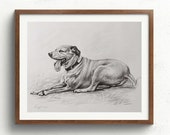 Custom Animal Art. Personalized Pet Drawings: Dogs, Cats, Horses.