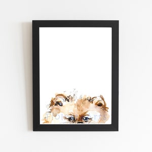 Pomeranian Art Print, Tan Pomeranian Illustration, Small Dog Wall Art, Pet Portrait Wall Decor, Puppy Print, Pomeranian Watercolor Painting