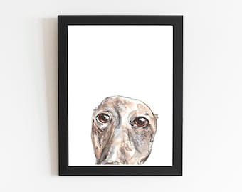 Pode incluir: Impressão em aquarela emoldurada com um close-up do rosto de um cão. O cão tem olhos castanhos e uma pelagem castanha clara e cinza. A obra de arte é definida contra um fundo branco e emoldurada em uma moldura preta.