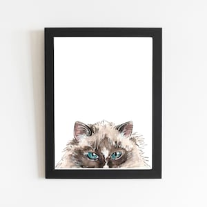 Ragdoll Version Two Art Print, Different Version Watercolor Drawing, Peek a Boo Cat Illustration, Cat Lover Decor Small Gift