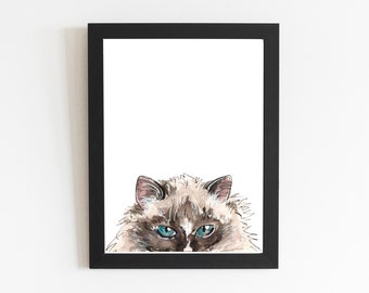 May include: A watercolor painting of a cat with blue eyes peeking out from behind a black frame. The cat has a white face and brown fur.