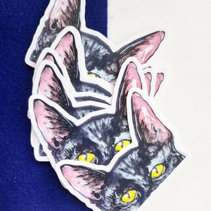 Black Cat Sticker, Matte Big Vinyl Waterproof Sticker, Die Cut Peek a Boo Cute Pet Sticker, I Love Black Cats