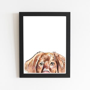 Nova Scotia Duck Tolling Retriever Art Print, imagem de cachorro Peek a Boo, escolha o tamanho do papel aquarela, desenho de animal de estimação de cachorro laranja, ideia de presente de animal