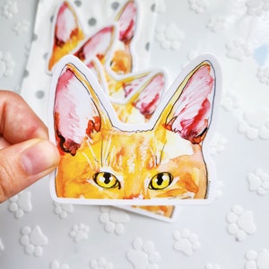 Orange Cat Sticker, Waterproof Cat Sticker, Big Tabby Cat Sticker, Shorthaired Orange Cat Pet, Car Cat Sticker, Cute Kitty Sticker