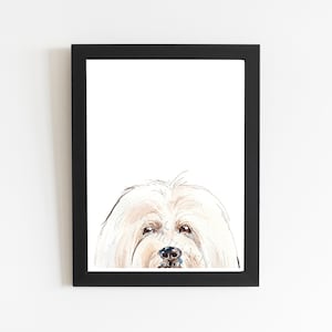 Coton De Tulear Wall Art Print, Ilustración de acuarela de perro de diferentes tamaños, dibujo pintado a mano de bellas artes, cartel de cachorro conmemorativo