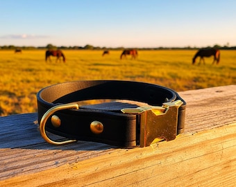 Leather Dog Collar with Quick Release Buckle, Custom Color and Width options