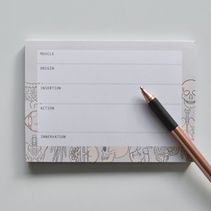 May include: A white notepad with a gray border and lines for writing. The notepad has a skeletal and anatomical illustration border. The words "Muscle", "Origin", "Insertion", "Action", and "Innervation" are printed on the notepad. A rose gold pen is lying on the notepad.