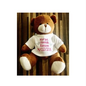 Personalised soft toy - teddy gift - new baby - get well soon teddy bear