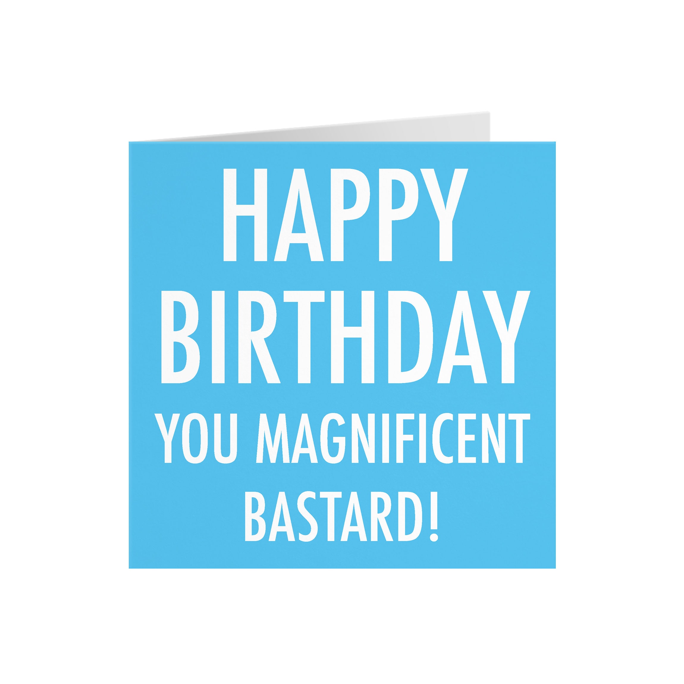 funny rude birthday card happy birthday you magnificent etsy