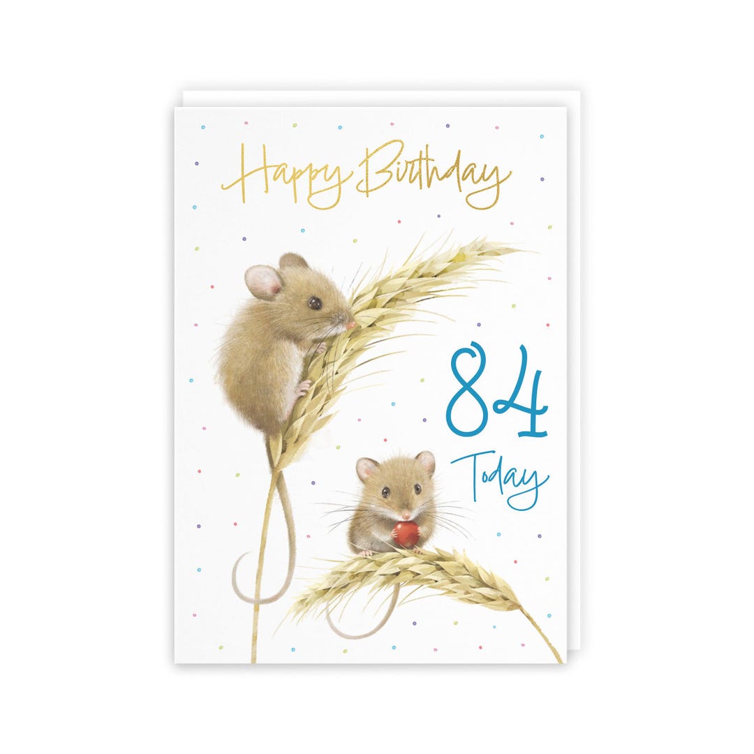 Hunts England Harvest Mice Male 84th Gold Foil Birthday Card for Him