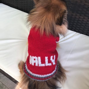 Pu&ograve; includere: Un piccolo cane che indossa un maglione di lana rosso con un design bianco "ALLY". Il maglione ha un bordo grigio e bianco.