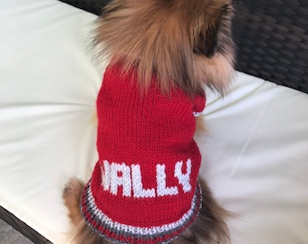 Personalized dog sweater, custom dog clothes, Knitted dog sweater, Puppy sweater, hand knit dog overall, personalized pet clothing pet coat