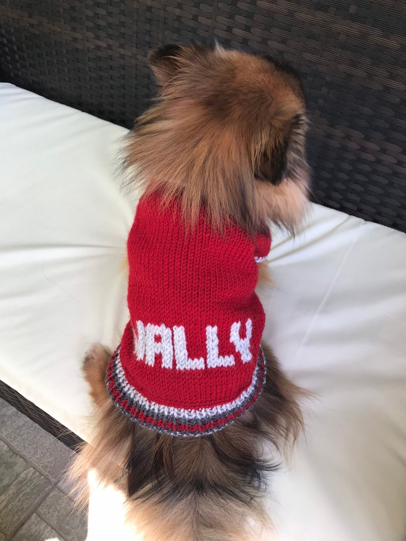 Pu&ograve; includere: Un piccolo cane che indossa un maglione di lana rosso con un design bianco "ALLY". Il maglione ha un bordo grigio e bianco.