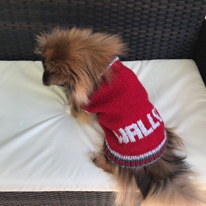 Pu&ograve; includere: Un piccolo cane marrone e nero che indossa un maglione di lana rosso con la parola "WALL-E" in lettere bianche. Il cane &egrave; seduto su un cuscino bianco.