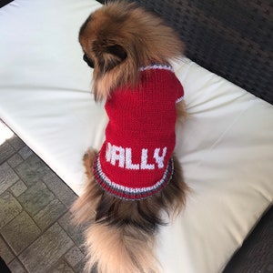 Pu&ograve; includere: Un piccolo cane marrone e bianco che indossa un maglione rosso lavorato a maglia con il nome "Wally" su di esso. Il cane &egrave; seduto su un cuscino bianco.