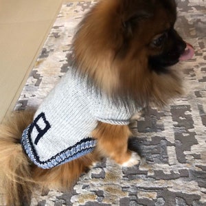 May include: A small, brown and white dog wearing a gray knitted sweater with a blue trim and a blue letter "B" on the front.