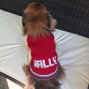 Pu&ograve; includere: Un piccolo cane marrone e bianco che indossa un maglione di lana rosso con la parola "Wally" in lettere bianche sul davanti.