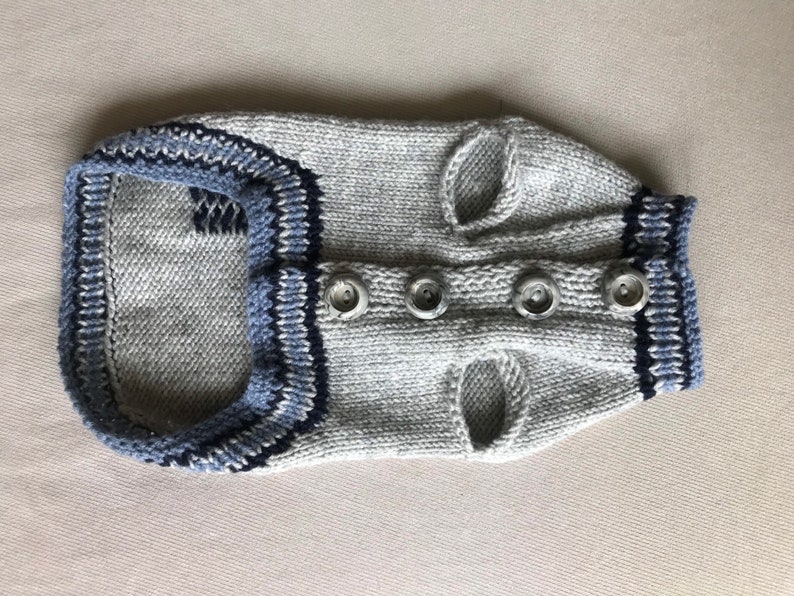May include: A gray knitted dog sweater with blue and white trim and four silver buttons down the front.