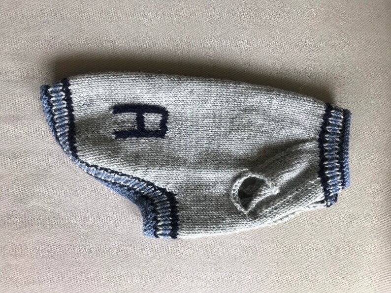 May include: Gray knitted dog sweater with blue trim and a navy blue embroidered letter "H" on the front.