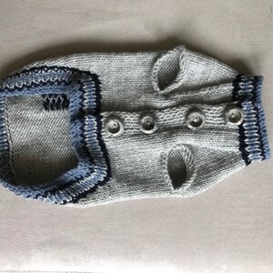 May include: A gray knitted dog sweater with blue and white trim and silver buttons.