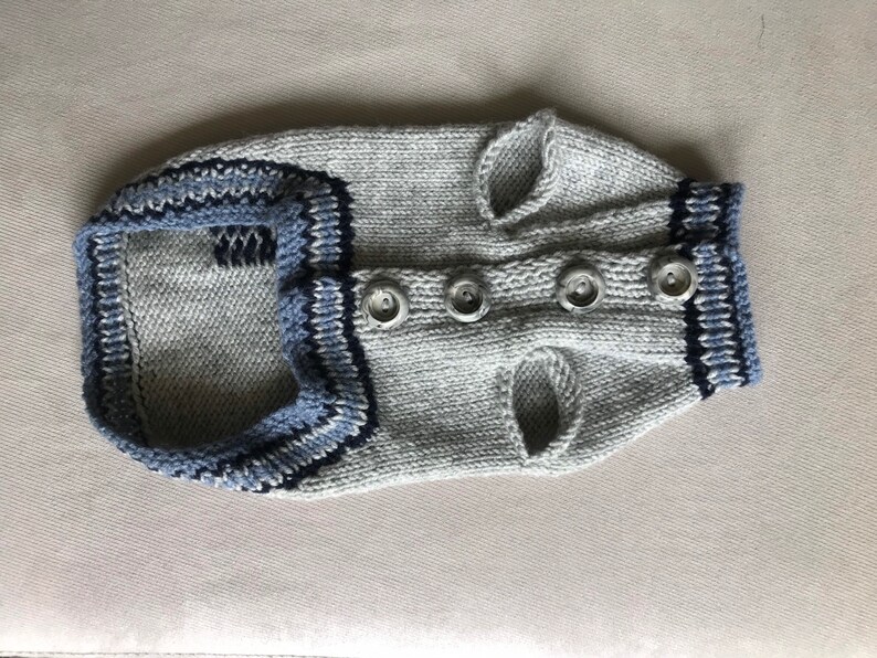 May include: A gray knitted dog sweater with blue and white trim and silver buttons.
