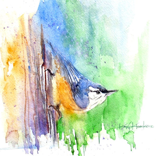 Nuthatch Rose-Breasted 5x7 Watercolor Print