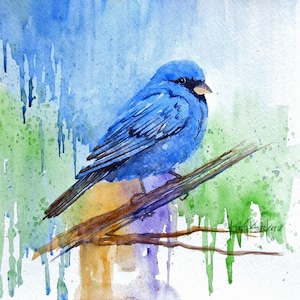Indigo Bunting