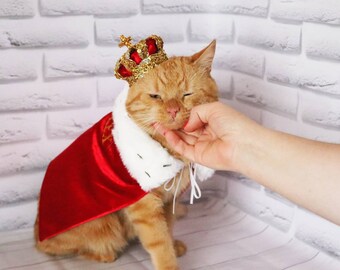 cat ring bearer outfit