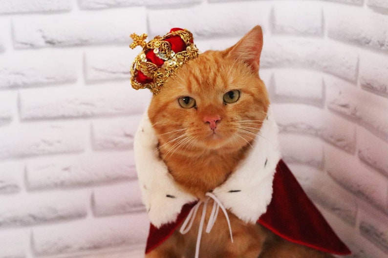 Set of Royal Crown and Velvet Cape for Pets  Birthday Crown image 2